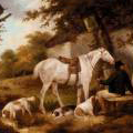 Ranch and Farmhouse