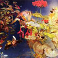 Bugs and Insects