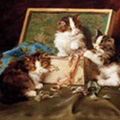 Cats and Kittens
