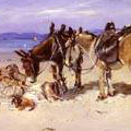 Donkey and Mule