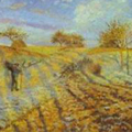 Fields