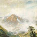 Fog