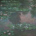 Lakes and Ponds
