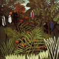 Rainforest and Jungle