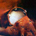 Tambourines and Drums